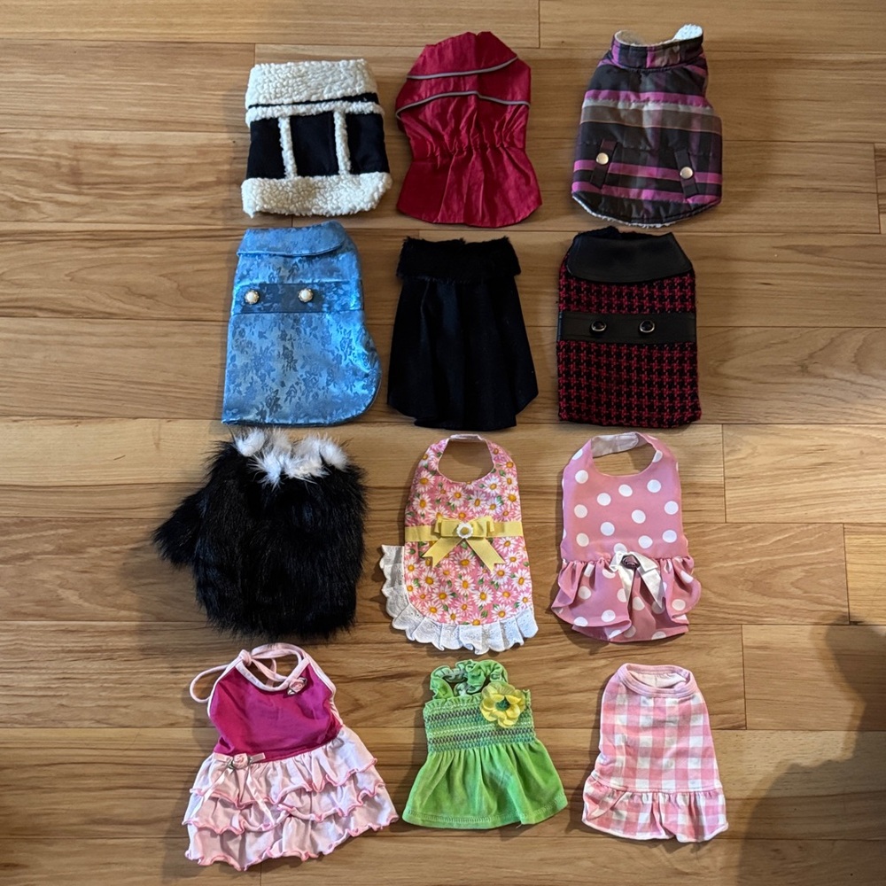 Stylish Dog Outfit Lot